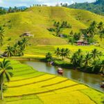 Explore the Vibrant State of Karnataka: Top Experiences
